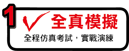 全真模擬